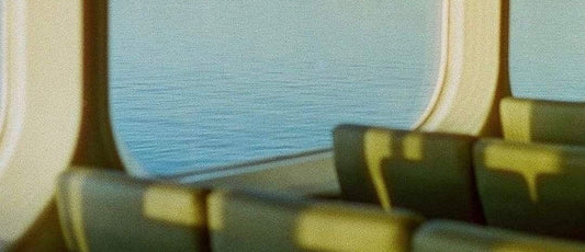 The Scent that Stayed