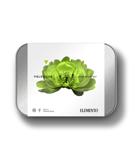 FIELD GUIDE Discovery Set