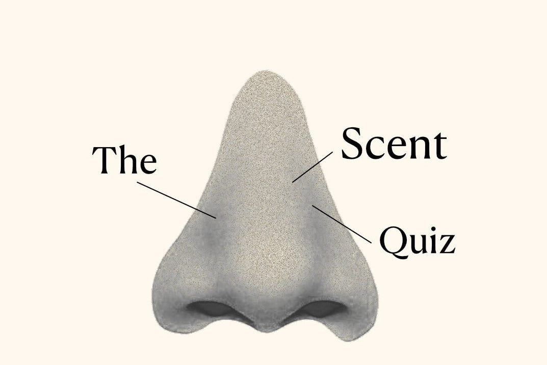 Illustration of a nose with 'The Scent Quiz' text on a white background